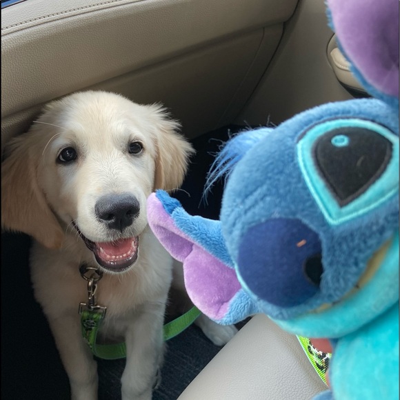 Meet your Posher, Terri-ann - Picture 1 of 1